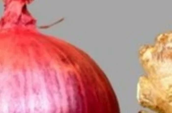 Ginger and Red Onion: A Powerful Daily Remedy for Health and Vitality