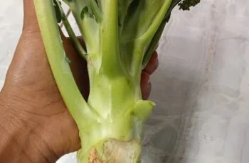 What to Do with Broccoli Stems