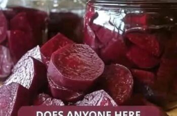 Homemade Pickled Beets Recipe