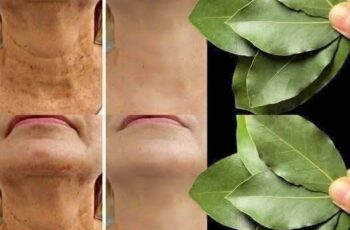 Bay Leaf for Skin Care: Debunking Myths and Exploring Natural Recipes