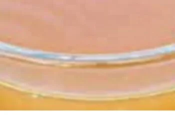 95-Year-Old Chinese Doctor’s Daily Drink for a Healthy Liver and Intestines